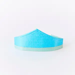 Blue Princess Tiara