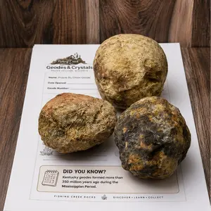 3 Unopened Kentucky Geodes + Discovery Booklet Crack Your Own Kids Activity Set
