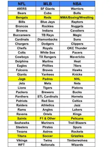 *FOR REFERENCE ONLY* MULTI-SPORT TEAM SHEET