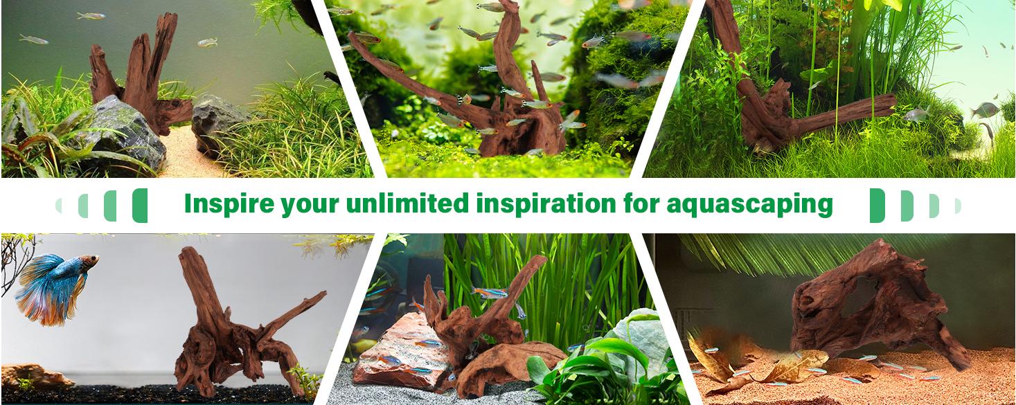 Driftwood for Aquarium Natural Aquarium Wood for Aquascaping Fish Tank Decorations Reptile Tank Decor