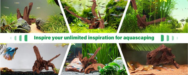 Driftwood for Aquarium Natural Aquarium Wood for Aquascaping Fish Tank Decorations Reptile Tank Decor