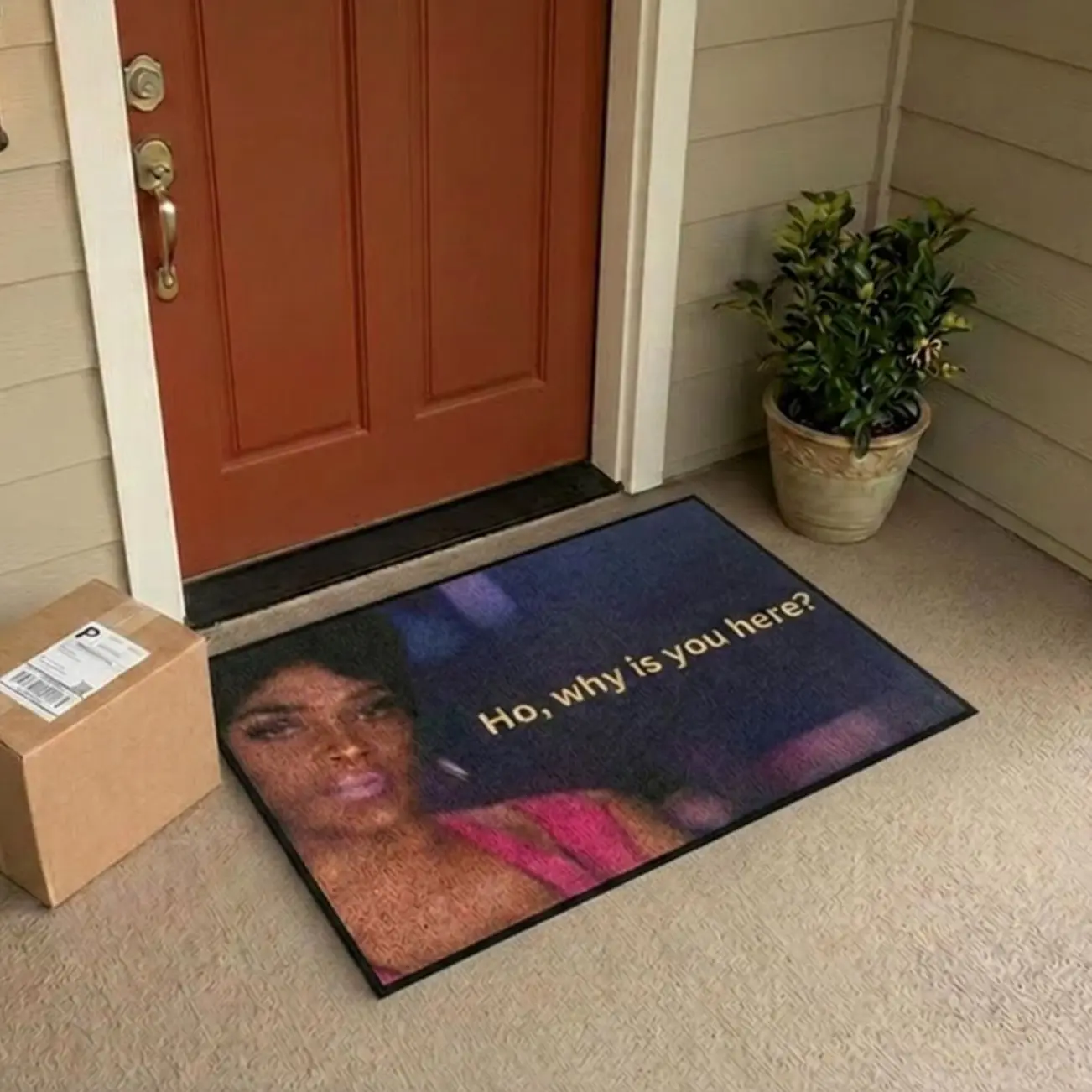 Funny Welcome Mat, “Ho Why Is You Here” Doormat, Meme Floor Mat, Joseline Inspired Rug, Housewarming Gift, Entryway Decor