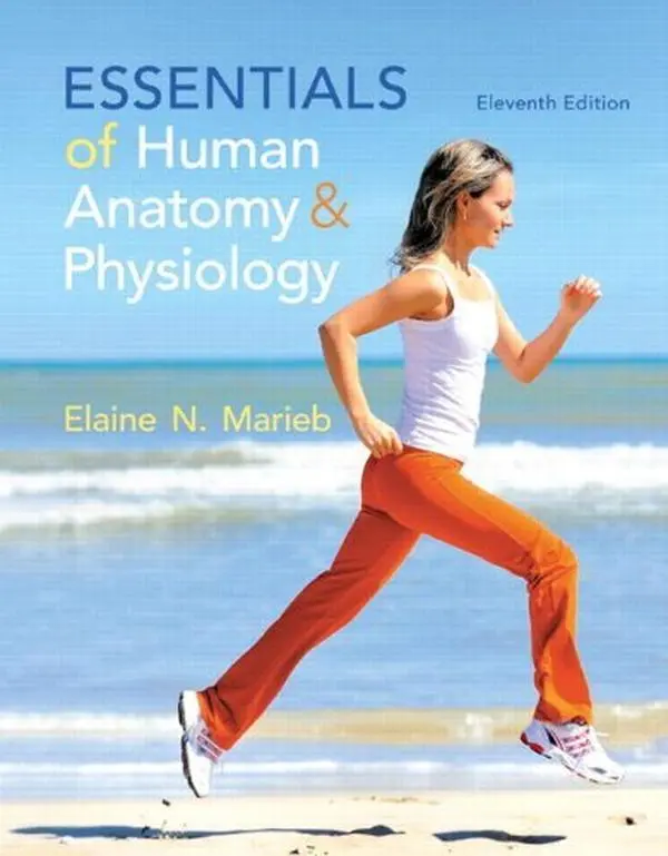USED Book - Essentials of Human Anatomy and Physiology (Essentials of Human Anatomy and Physiology) by Elaine N. Marieb (Paperback) - english