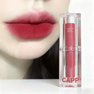Matte Lipstick, Transparent Acrylic Portable Tube, Peach Nude Cinnamon Shades, Soft Matte Finish, Long-Lasting, Moisturizing, Hydrating, Daily Use Makeup, Cosmetic