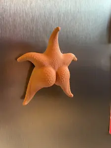 Funny Starfish Fridge Magnet, Thicc Starfish Meme Magnet, 3D Printed Ocean Magnet, Cheeky Beach House Decor, Novelty Gift