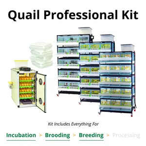 Quail Professional Kit Hatching & Raise Quail Today!