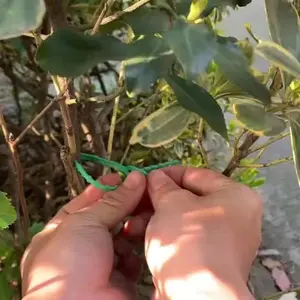 100pcs Multi-Purpose Garden Fishbone Binding Straps, Durable Reusable Tie Strips, 13cm Gardening Wire Ties, High-Quality Outdoor Supplies