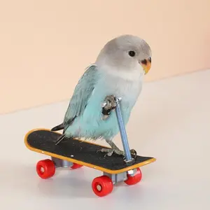Skateboard Bird Toys, Parrot Training Trick Props, Bird Intelligence Educational Toys for Parakeet, Conures, Cockatiels,