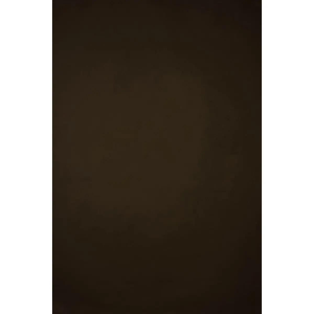 Canvas Photo Backdrop for Photographers, Gravity Backdrops Italian Cotton Hand-Painted Classic Collection, Strong Texture, 8.9x13ft Brown, Acrylic-Duck Accent, Camera Photography Use