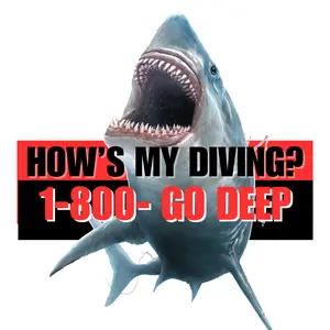 How's My Diving