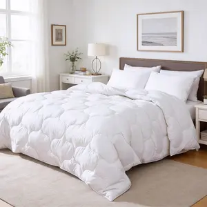Goose Down Fiber Comforter All Season Quilted Duvet Insert – Lightweight Fluffy Breathable Hypoallergenic Down Fiber Fill Bed Comforter Queen Size for Spring Fall, White，Warehouse Clearance / Limited Stock / Multiple Sizes
