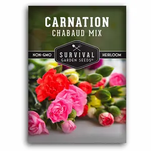 Chabaud Mix Carnation Seed - Dianthus Caryophyllus