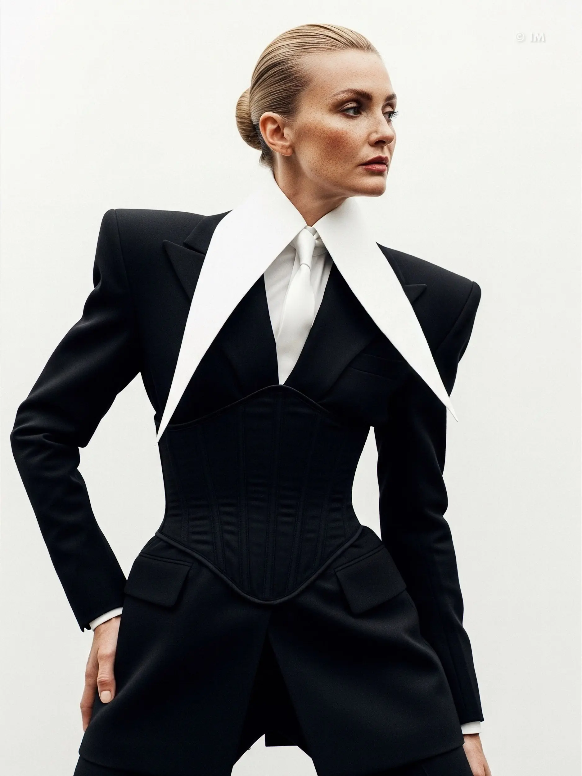 Large Removable Pointy Collar