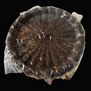 Torta Negra