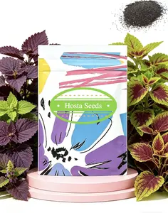 Hosta Seeds for Planting, 300+pcs Rare Perennial Hosta Flower Seeds Plants, Non-GMO Heirloom Long Blooming Plants Shaded Entry Pathway Rare Flowers for Garden Outdoors
