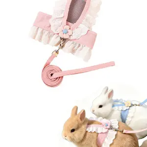 Rabbit Leash, Bunny Leash for Small Dwarf Rabbits, Anti-Slip Rabbit Harness, Durable Pet Walking Rope, Secure Dog Lead for Safe Outdoor Walks