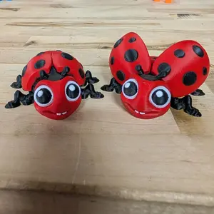 Lady Bug Flexi 3D Printed