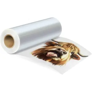 DTF Transfer Film Roll - 13inch x 328 ft Double Sided Matte, Hot & Cold Peel, Clear PreTreat PET Heat Transfer Paper for Direct  T-Shirts Clothing Textile