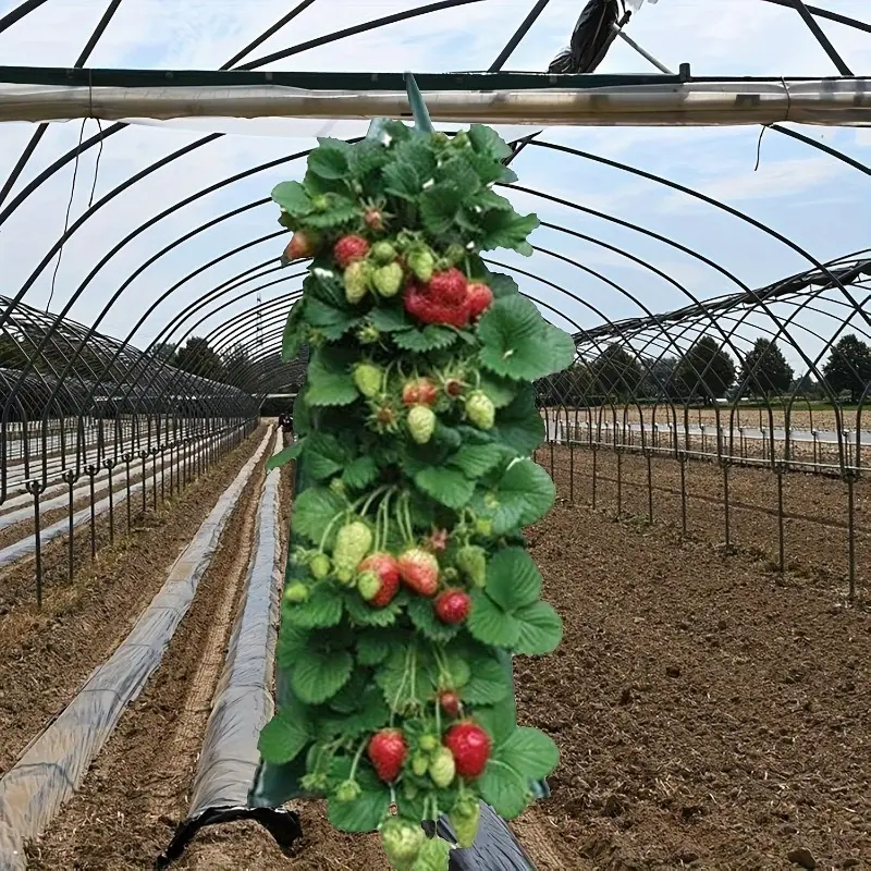 10pcs-Hanging Strawberry Planting Bag, Inverted Garden Garden Tomato Planting Bag, Hanging Strawberry Planting Bag, Hanging Flower Planting Bag Handle Outdoor Planting Bag