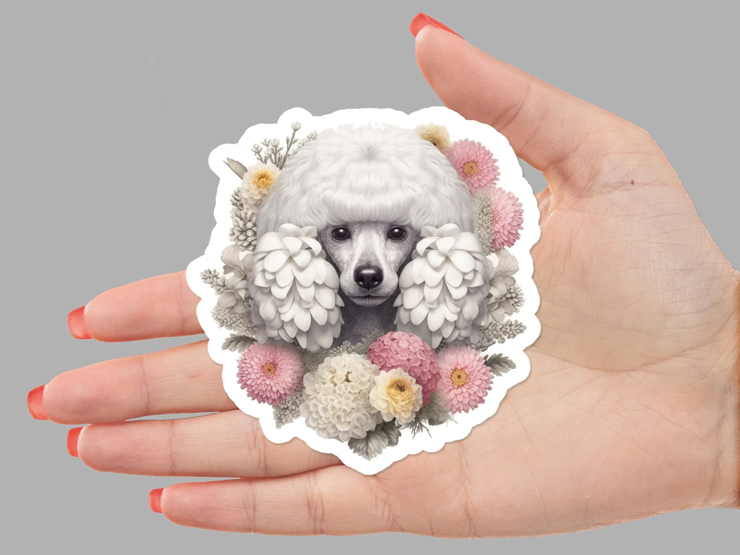 White Poodle Sticker