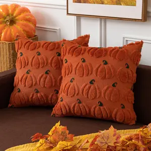 evin  Pumpin Fall Decorative Throw Pillow Covers 18x18 Inch Set of 2 Soft Faux  Pillow Covers for Autumn Harvest Fluffy Plush Accent Pillow Cases for Halloween Thansgiving Gifts Rust