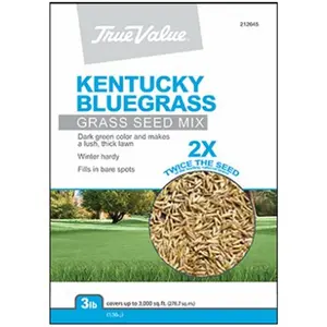 Barenbrug USA 212645 TV 3LB KY BLUgrass Seed, TV 3 lbs Kentucky Bluegrass Seed