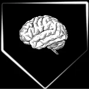 BrainsandBases