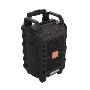 Karaoke Trolley Speaker SP916 6.5 Inch - Compact Design for Home Entertainment