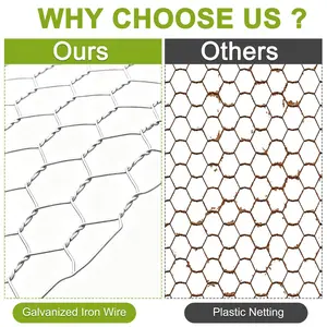 Galvanized Rustproof Chicken Wire Mesh Roll, 3.3ft x 32.8ft Hexagonal Wire Mesh for Gardening Fencing, Animal Cages