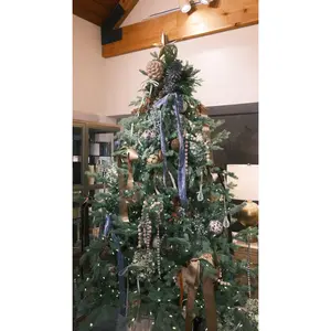 Foxtail Pine Tree 7.5'