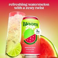 Watermelon Lime