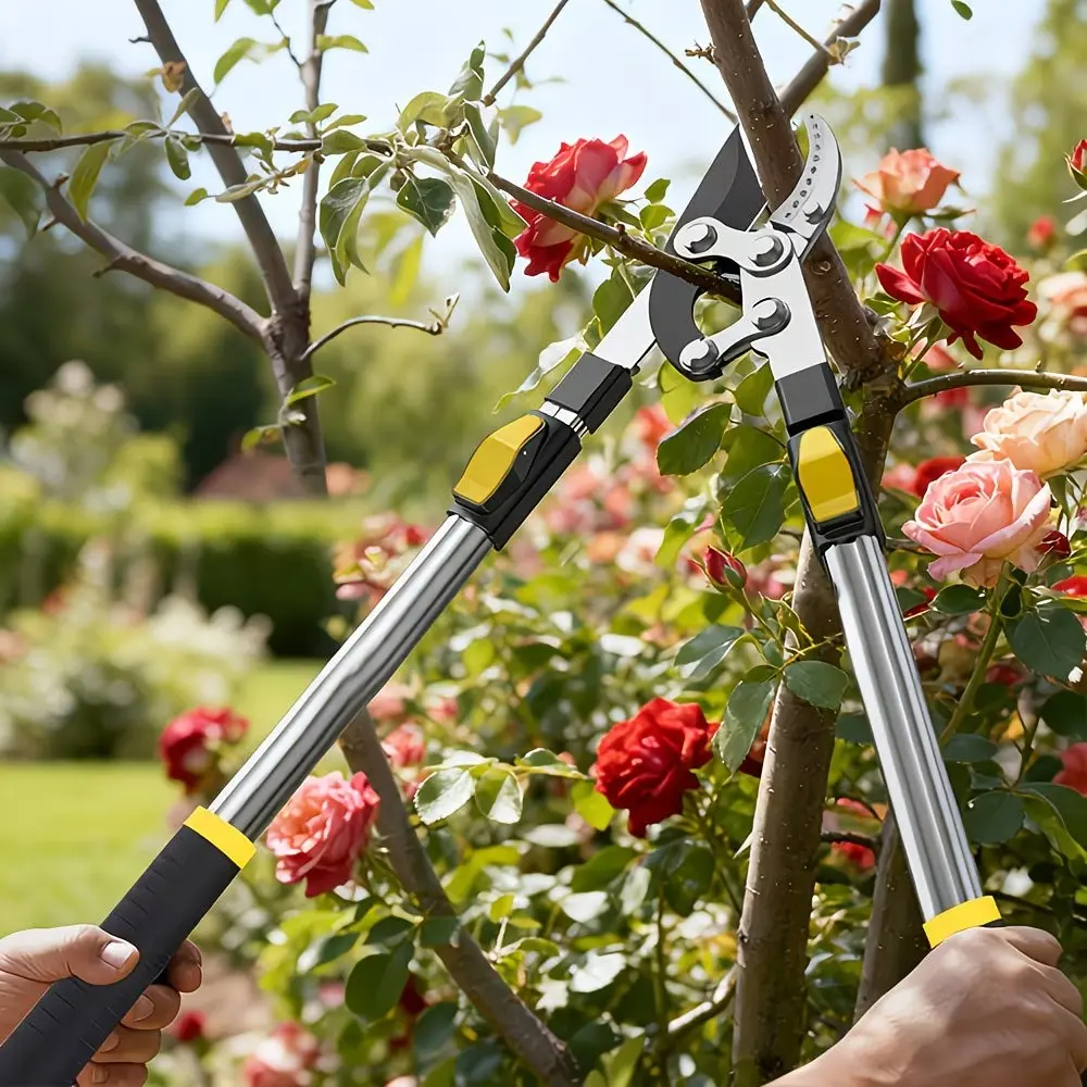 Expandable Pruner Long Handle for Thick Branches, Limb Branch Cutter, Tree Trimmer, Shrubbery Trimmer, Sharp Sk5 Blade, Ergonomic Non-Slip Grip, Perfect for Home Garden Maintenance