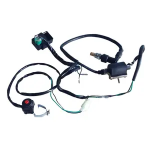 Go Kart Ignition Coil CDI Spark Plug Kill Switch Wire Harness Complete Kit for Pit Mini Dirt Bike ATV UTV Quad Buggy Drift Trike Moped 4 Wheeler SSR Lifan Loncin Ducar Shineray Zongshen YX 50cc-160cc