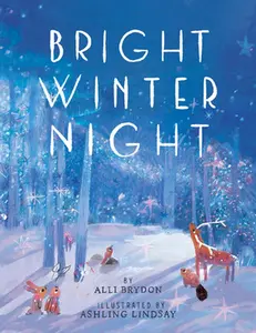 USED-Bright Winter Night by Brydon, Alli (Hardcover)