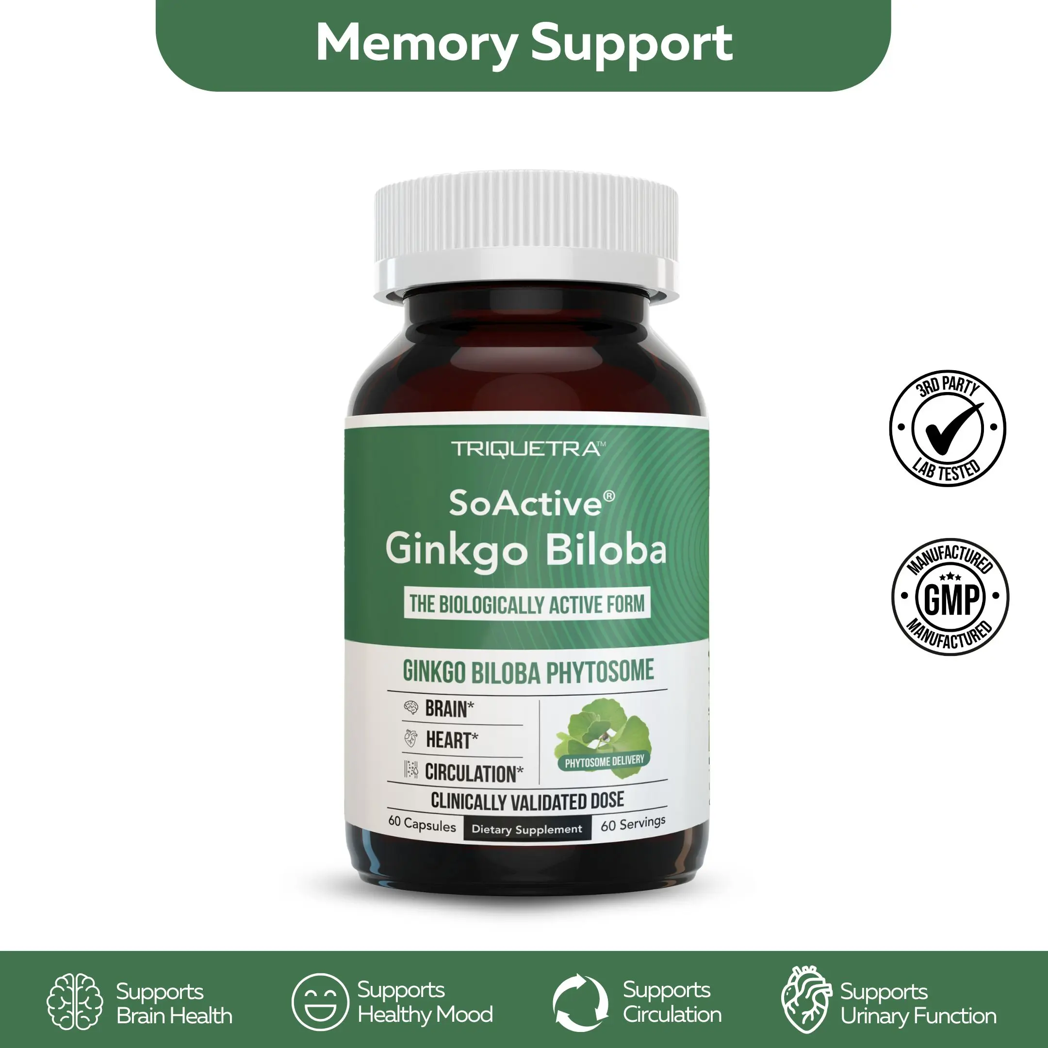 SoActive Ginkgo Biloba | Clinically Proven Phytosome for 300% Better Absorption – Supports Mood & Memory –60 Capsules Supplement