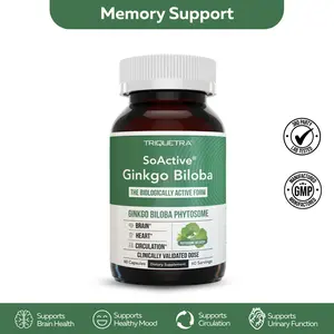 SoActive Ginkgo Biloba | Clinically Proven Phytosome for 300% Better Absorption – Supports Mood & Memory –60 Capsules Supplement