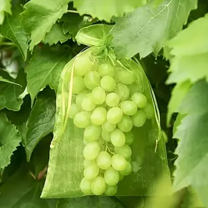 20pcs Mesh Plant Protection Fruit Vegetable Bags, 7.9x11.8in Breathable Drawstring Pouches, Pest Barrier for Grapes, Strawberries, Lemons, Cherries