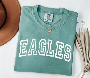 Comfort Colors Eagles T- Shirt, Retro Game Day T-shirt, Game Day, Personalized Spirit Shirt, Touchdown Season, Sports Shirt, Unisex PTS