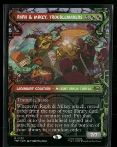 Teenage Mutant Ninja Turtles Raph & Mikey, Troublemakers (Showcase) #250