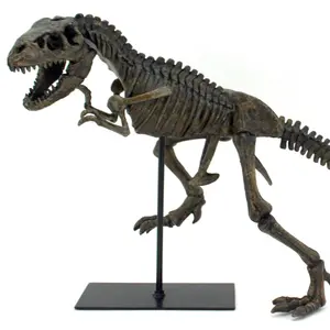 Striking - T-Rex Tyrannosaurus Rex Dinosaur Fossil