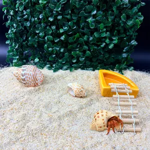 Hermit Crab Terrarium Landscaping Kit: Faux Grass Wall + Replacement Shell + Wooden Ladder + Water Bowl| Reptile Habitat Decor（Acrylic case not included）