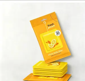 Long Lasting Hanging Air Freshener Pouch Assorted Scent a Box for Bathroom Car Closet Home