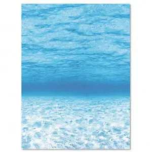 Fadeless Designs Bulletin Board Paper Under Sea Acid-Free 48 x 50 Rl