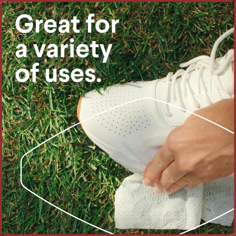 Clorox Disinfecting Wipes Value Pack - 75ct/4pk