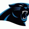 Panthers
