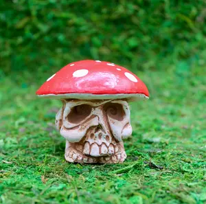 Spore Spirits: The Fly Agaric