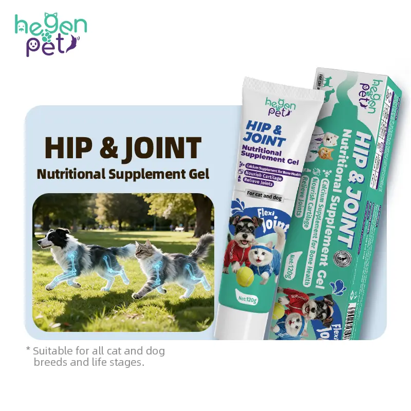 Hip & Joint 