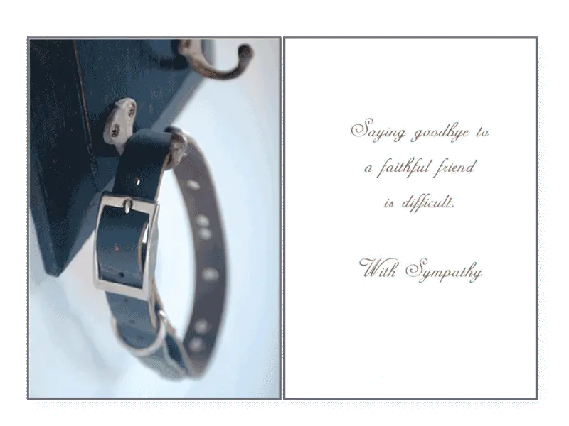 Saying Goodbye Sympathy Card