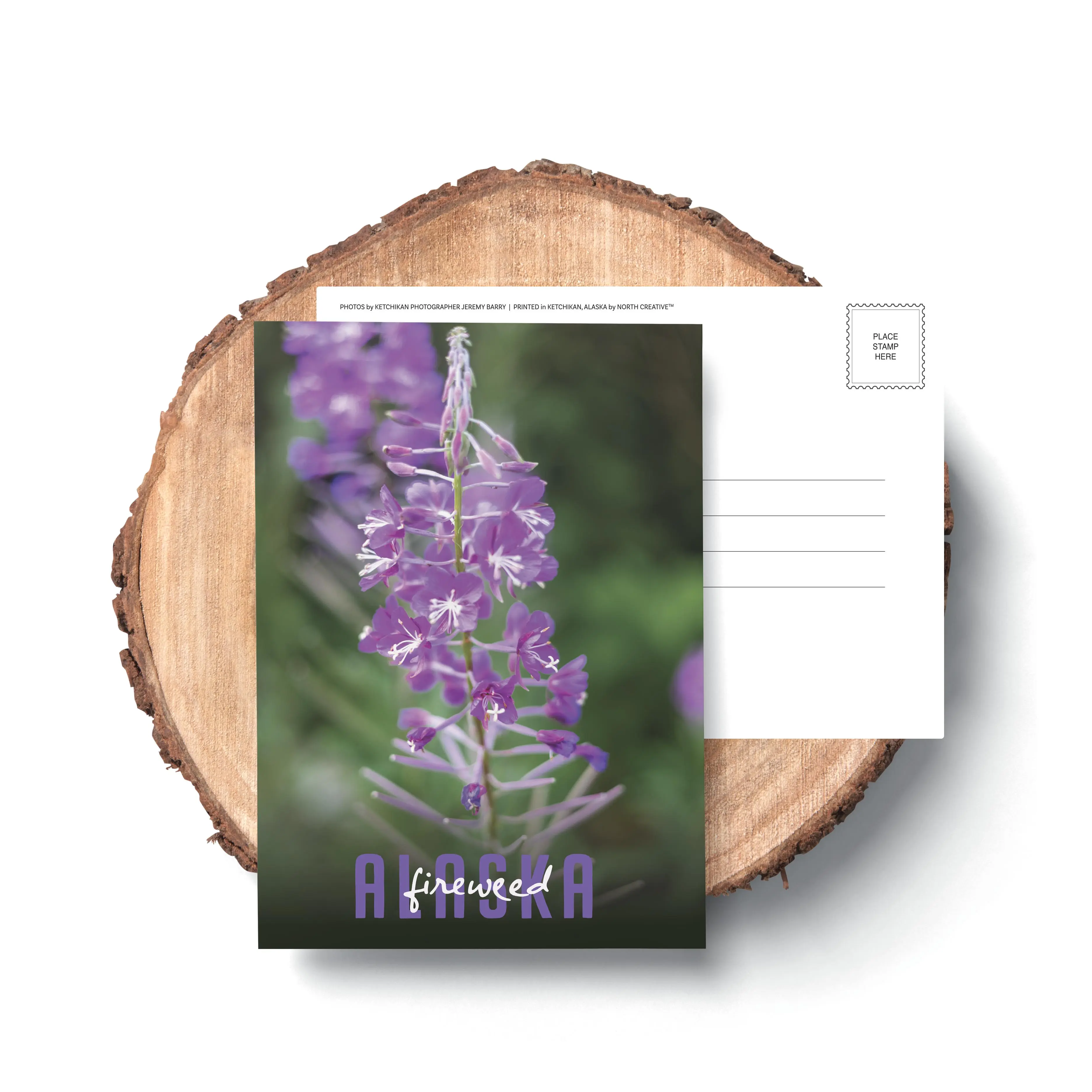Fireweed Postcard