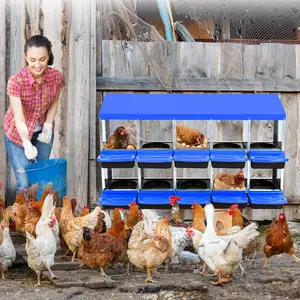 Effortless Egg Collection – Roll Away Metal Nesting Box, 10 Compartments, Galvanized, Easy Clean & Ventilated for Happy Hens